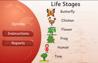 Life Stages