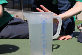 Water Relay - Measuring Capacity, Australian Curriculum